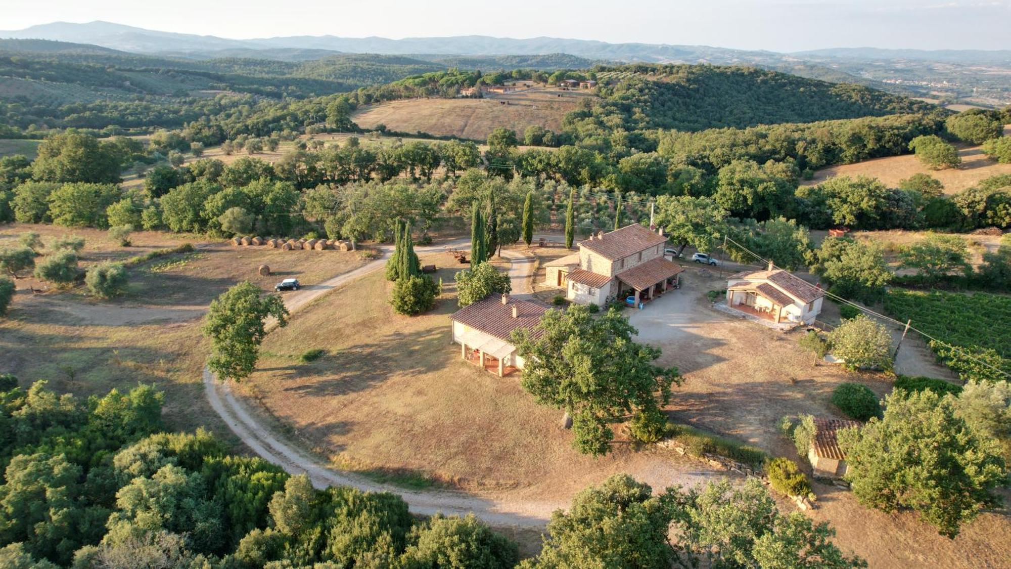 Agriturismo Belvedere Di Pierini E Brugi Campagnatico Buitenkant foto