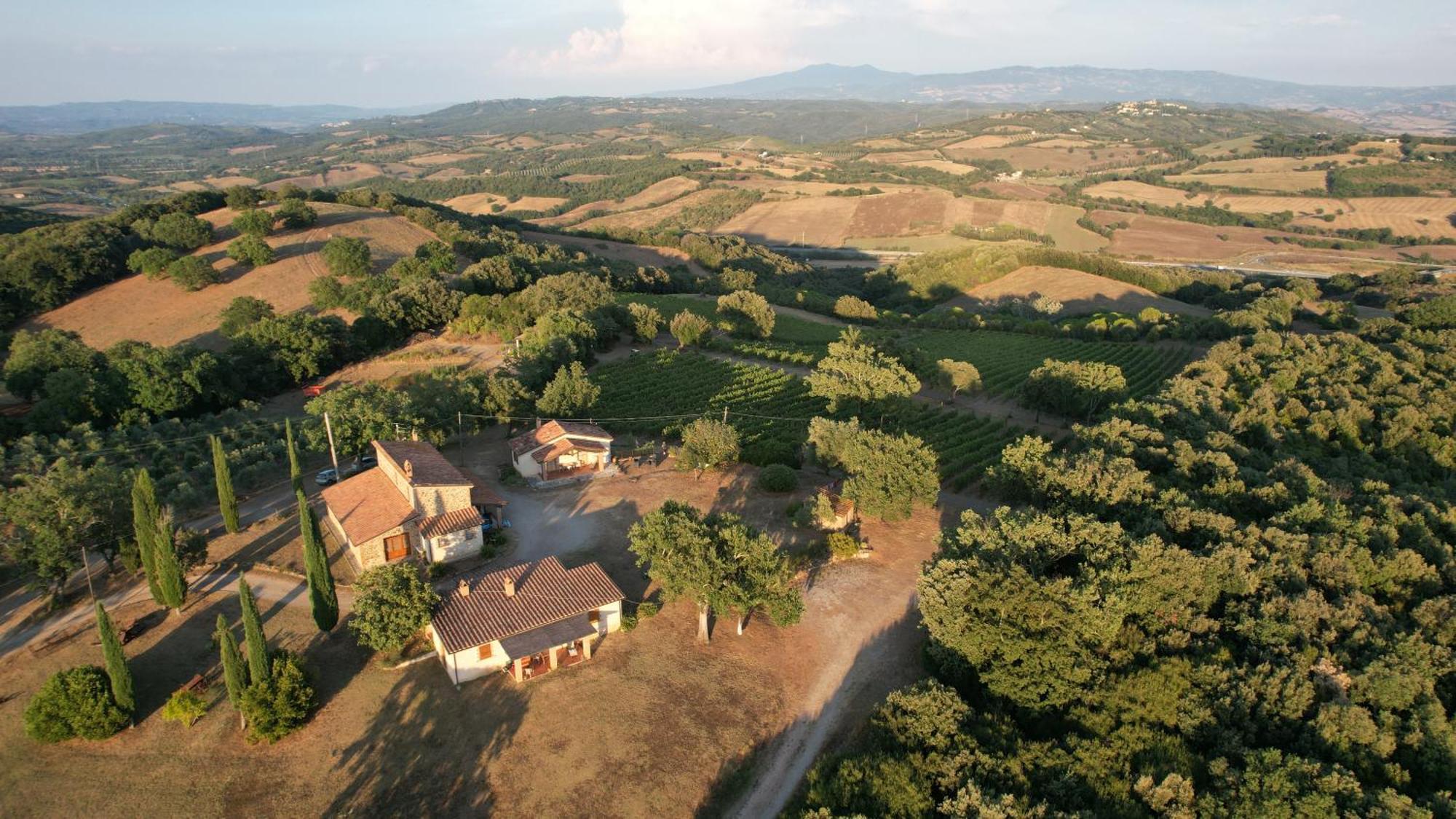 Agriturismo Belvedere Di Pierini E Brugi Campagnatico Buitenkant foto
