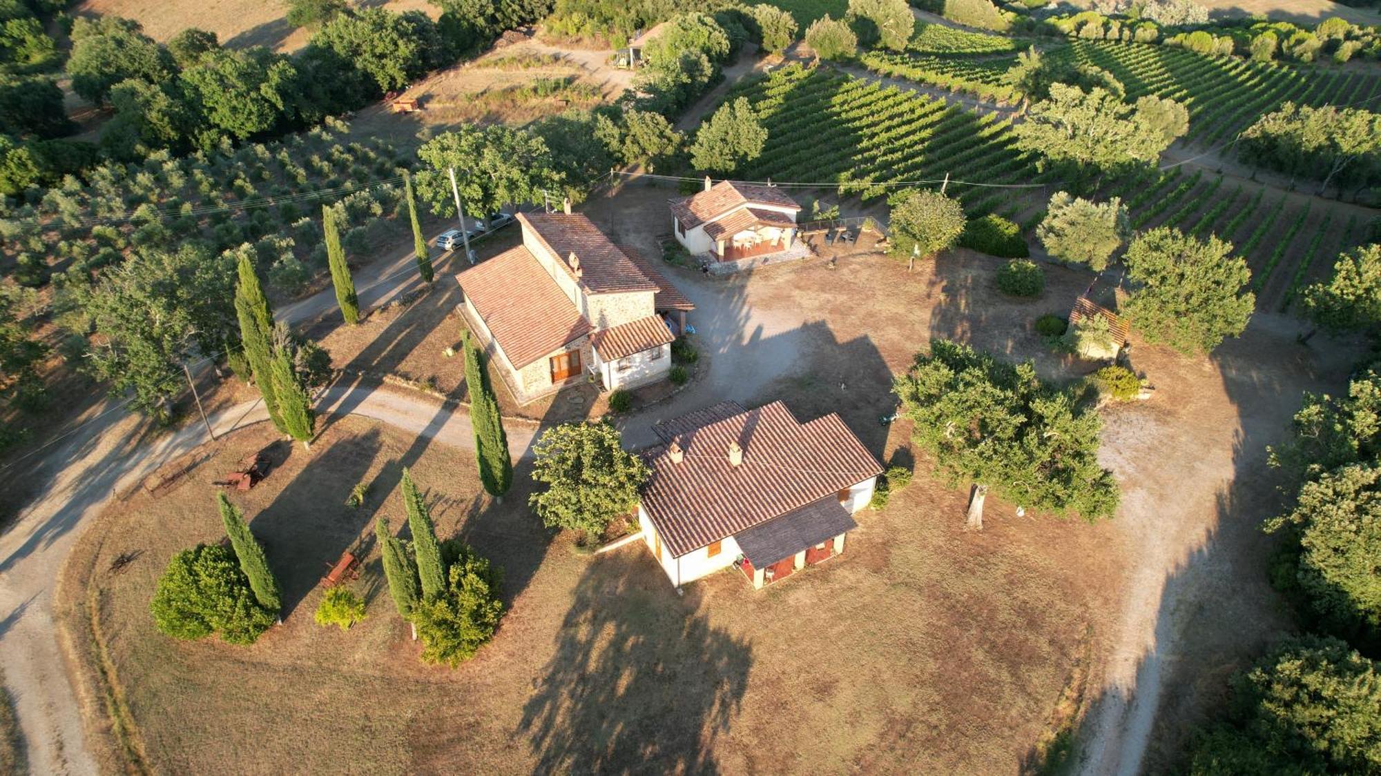 Agriturismo Belvedere Di Pierini E Brugi Campagnatico Buitenkant foto