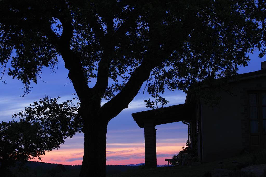 Agriturismo Belvedere Di Pierini E Brugi Campagnatico Kamer foto
