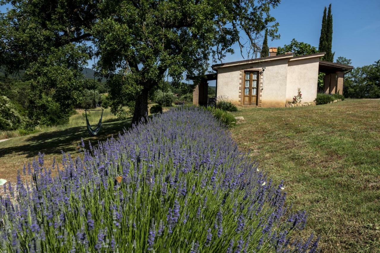 Agriturismo Belvedere Di Pierini E Brugi Campagnatico Buitenkant foto
